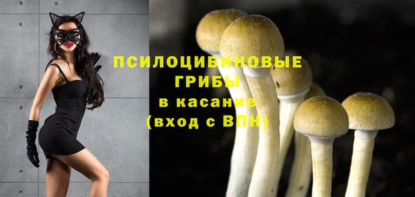 соль курить ск Волосово